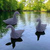Canadian Geese - 8pc Set - O Scale - 1:48
