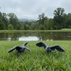 Canadian Geese - 8pc Set - O Scale - 1:48