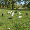 Cats - 8pc Set - O Scale 1:48 - Black & White