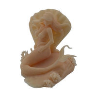 Scale Mermaid with Base Model by Model Scenery World Top View