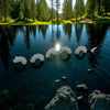 Scale Model of Nessie Glow in the Dark by Model Scenery World - Lights on