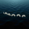 Model of Nessie Glow in the Dark by Model Scenery World 