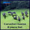 Canadian Geese - 8pc Set - O Scale - 1:48