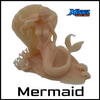 Scale Mermaid with Base Model by Model Scenery World