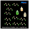 Scale Model - Moonshine Jar / Jug 2 Gallon in Resin by Model Scenery World